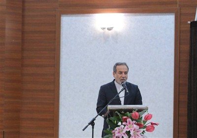 عراقچی: رژیم صهیونیستی با استفاده از گرسنگی مردم بیدفاع را تحت فشار گذاشته است
