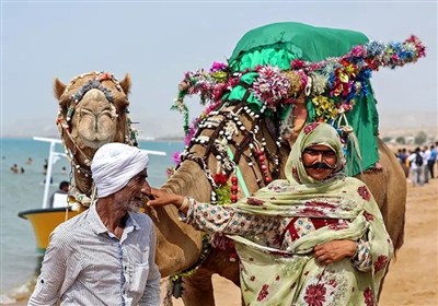 قشم،دريا،نوروز،روز،جزيره،مراسم،شهريور،جشن،سنتي،20،ساعت،برگزا ...