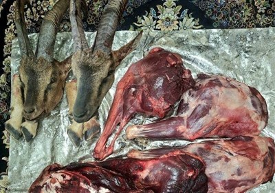شكارچيان،حفاظت،منطقه،ماموران،يگان،زيست،قروه،پاسگاه،شليك