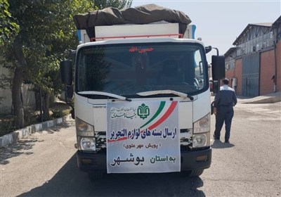 علوي،هدف،آغاز،طرح،تسنيم