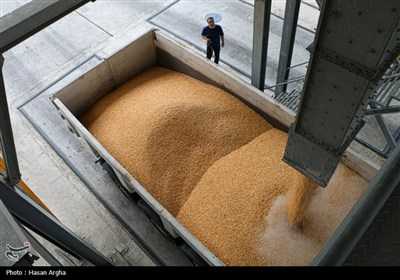 افتتاح سیلوی 30 هزار تنی غلات در بندر امیرآباد- عکس استانها  ...
