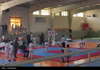 كاراته،استان،زنجان،مسابقات،نوروزي،قهرمانان،سطح،كيوكوشين