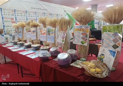 تمایل چین به استفاده از محصولات کشاورزی مازندران