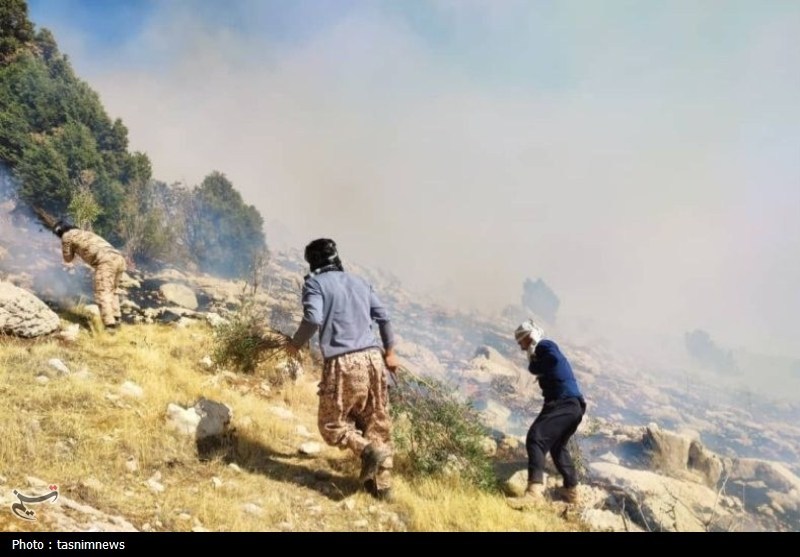 سازمان منابع طبیعی , آتش سوزی جنگل ها و مراتع , 