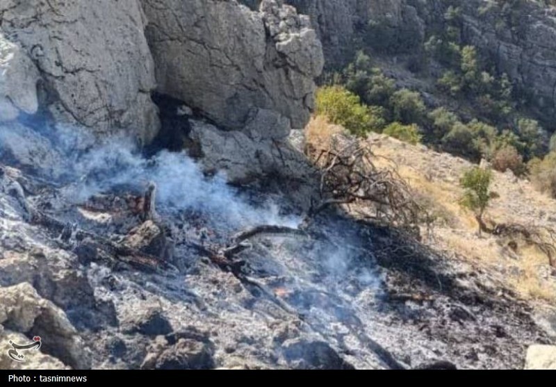 سازمان منابع طبیعی , آتش سوزی جنگل ها و مراتع , 