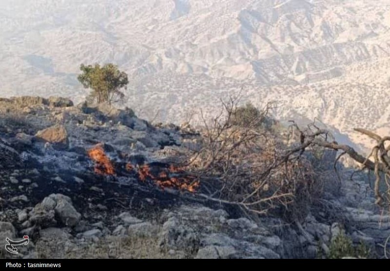سازمان منابع طبیعی , آتش سوزی جنگل ها و مراتع , 