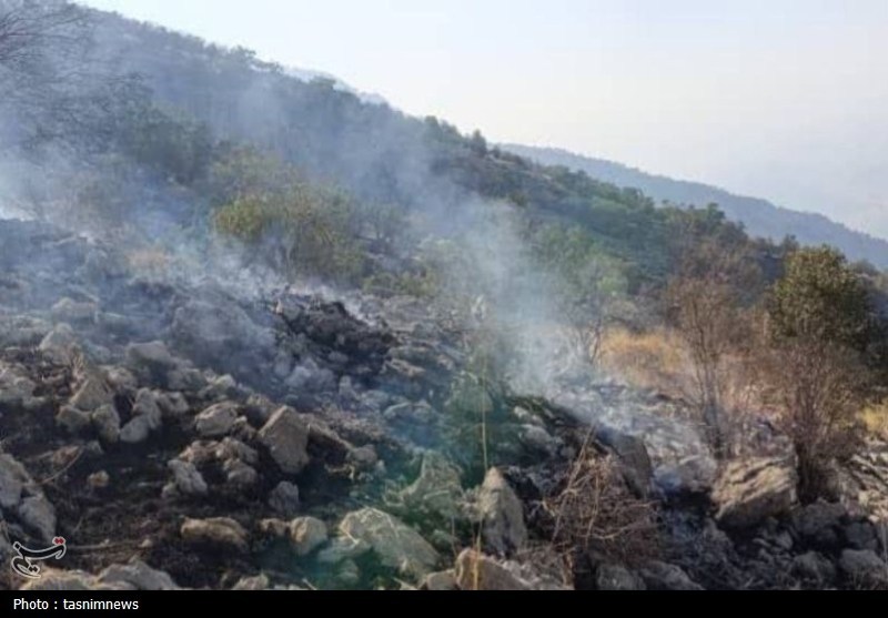 سازمان منابع طبیعی , آتش سوزی جنگل ها و مراتع , 