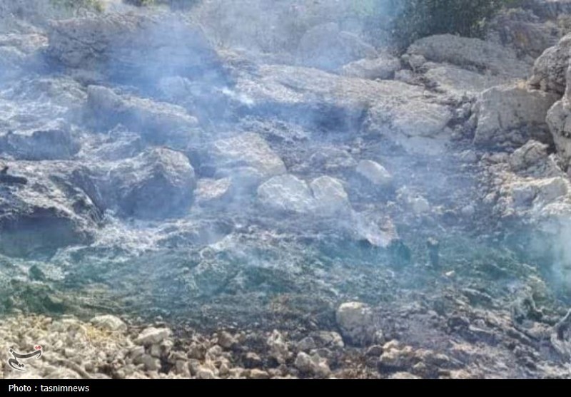 سازمان منابع طبیعی , آتش سوزی جنگل ها و مراتع , 