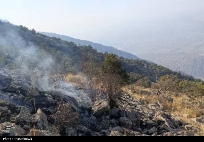 سازمان منابع طبیعی , آتش سوزی جنگل ها و مراتع , 