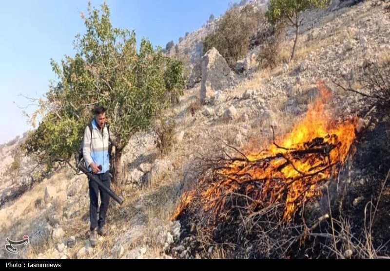 سازمان منابع طبیعی , آتش سوزی جنگل ها و مراتع , 