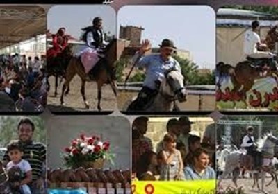 استان،اردبيل،سواركاري،ورزش،جشنواره،مديركل،جوانان،ملي