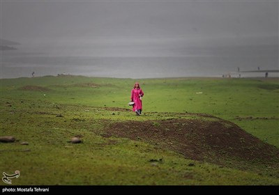 سد لفور با چشم‌اندازهای بکر جنگل‌های هیرکانی و آب آرام خود، یکی از زیباترین جاذبه‌های طبیعی مازندران