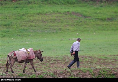 سد لفور با چشم‌اندازهای بکر جنگل‌های هیرکانی و آب آرام خود، یکی از زیباترین جاذبه‌های طبیعی مازندران