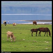 سد لفور با چشم‌اندازهای بکر جنگل‌های هیرکانی و آب آرام خود، یکی از زیباترین جاذبه‌های طبیعی مازندران