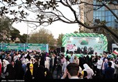 Жители Тегерана провели уличное празднование в честь дня рождения Пророка Ислама