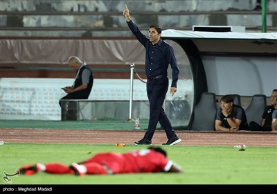 وحید هاشمیان سرمربی تیم فوتبال پرسپولیس