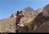 فداکاری محیط‌بانان در دنا؛ از گشت‌زنی در ارتفاعات تا دستگیری شکارچیان و مهار آتش‌سوزی