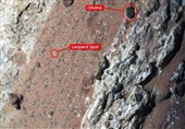 NASA Finds Strong Signs of Potential Life on Mars