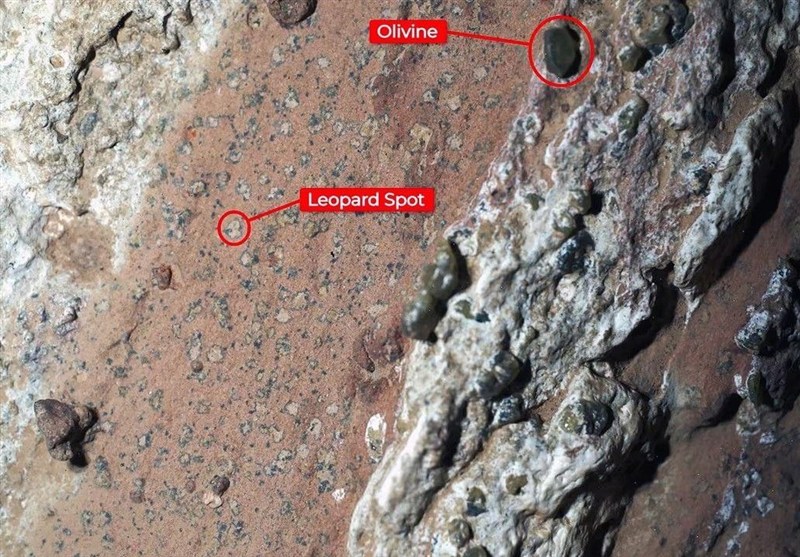 NASA Finds Strong Signs of Potential Life on Mars