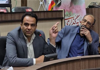 گناباد،توليد،شهرستان،مرغداران،زارعي،همراهي،مرغ،قطعه،غذايي،تأ ...