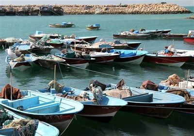 ثبت،هويت،شناورهاي،بوشهر،فاقد،مالكان،قايق،شناور،ايمني