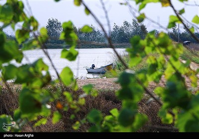 مجموعه کشت و صنعت دشت ناز ساری