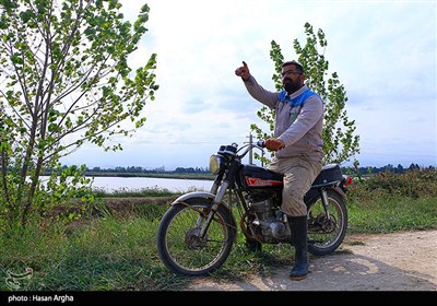 مجموعه کشت و صنعت دشت ناز ساری