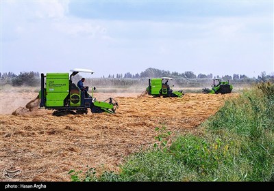 مجموعه کشت و صنعت دشت ناز ساری