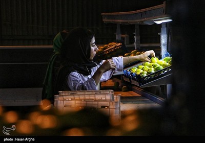 مجموعه کشت و صنعت دشت ناز ساری