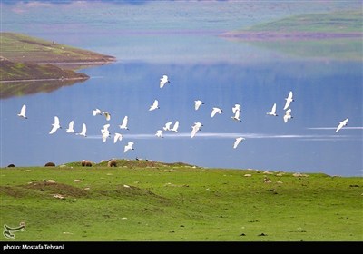 Природа плотины Лефур