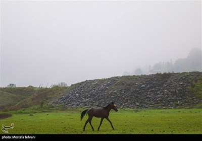 Природа плотины Лефур