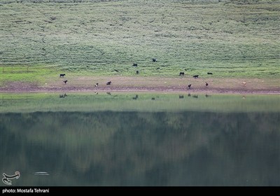 Природа плотины Лефур