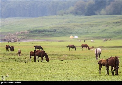 Природа плотины Лефур