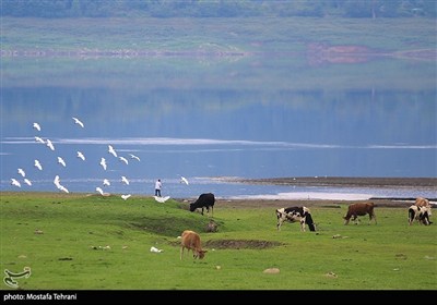 Природа плотины Лефур