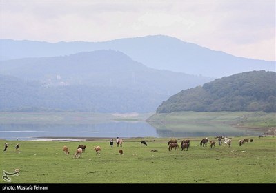 Природа плотины Лефур