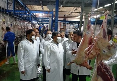 راه‌اندازی واحد بسته‌بندی ماهی در کشتارگاه اردبیل