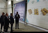 بازدید استاندار از مرکز پیشرفته پرتودهی محصولات کشاورزی و کشتارگاه صنعتی اردبیل