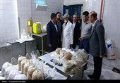 بازدید استاندار از مرکز پیشرفته پرتودهی محصولات کشاورزی و کشتارگاه صنعتی اردبیل