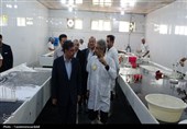 بازدید استاندار از مرکز پیشرفته پرتودهی محصولات کشاورزی و کشتارگاه صنعتی اردبیل