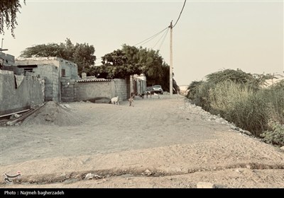 سنگ‌کن شرقی بندرعباس؛ زندگی در کوچه‌های خاکی و فاضلاب روان