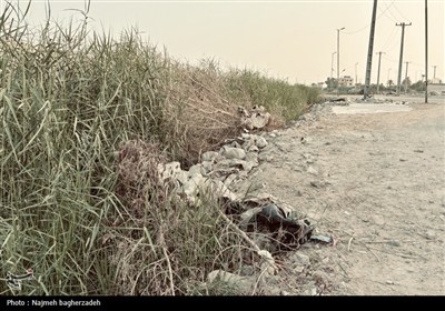 سنگ‌کن شرقی بندرعباس؛ زندگی در کوچه‌های خاکی و فاضلاب روان