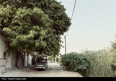 سنگ‌کن شرقی بندرعباس؛ زندگی در کوچه‌های خاکی و فاضلاب روان