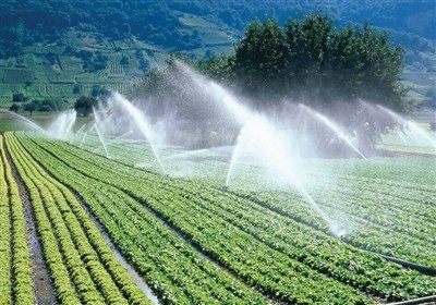 معرفی 43 رقم غلات مقاوم به خشکی و شوری