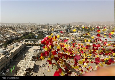 گلباران حرم حضرت معصومه(س) در سالروز ورود بانوی کرامت به قم