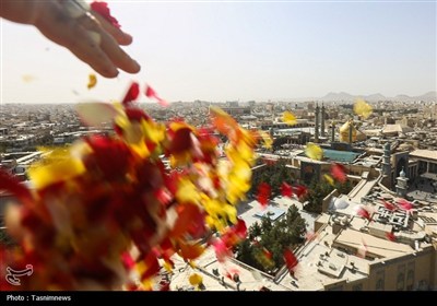 گلباران حرم حضرت معصومه(س) در سالروز ورود بانوی کرامت به قم