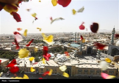 گلباران حرم حضرت معصومه(س) در سالروز ورود بانوی کرامت به قم