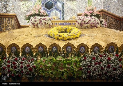 گل آرایی ضریح مطهر حرم بانوی کرامت- عکس صفحه استان تسنیم