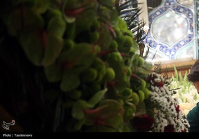 گل‌آرایی ضریح مطهر حرم بانوی کرامت
