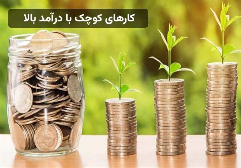 کارهای کوچک با درآمد بالا در خانه مناسب زنان و مردان