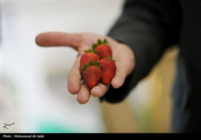 پنجمین نمایشگاه دستاوردهای وقف